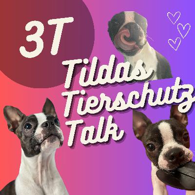 #20 Die Geschichte von meinem Hund (Video 🎥)