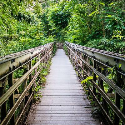 From Engineer to Manager: keeping your technical skills