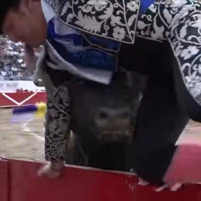 Se robó el corazón del público en el nuevo Progreso Gustavo Campos