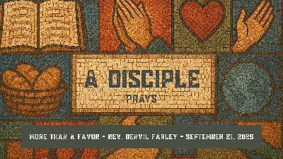 More Than a Favor More Than a Favor