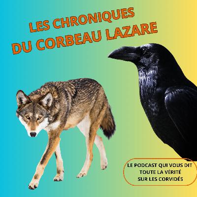 Loups et corbeaux: les stratèges intelligents