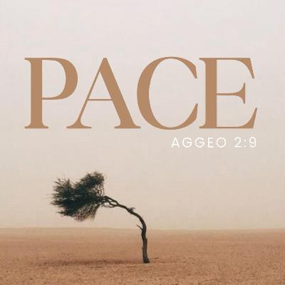 THE WAR IS OVER | Pastore Giacobb Scurto THE WAR IS OVER | Pastore Giacobb Scurto