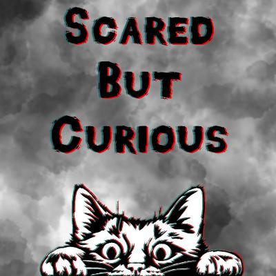 Temporary Hiatus Announcement