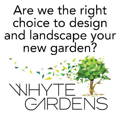 Is Whyte Gardens the right choice to design and landscape your garden?