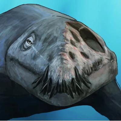 Prehistoric Animals Preserved So Well They Look Like Roadkill