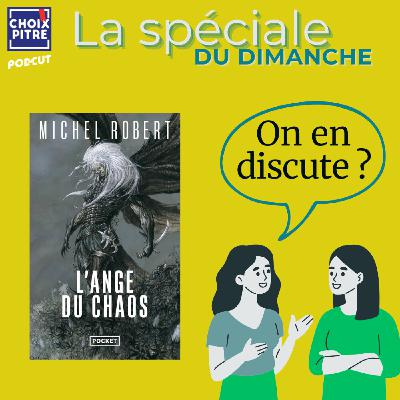 LA SPECIALE - On en discute ? L'agent des ombres de Michel Robert