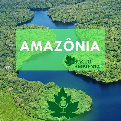 Ambientalidades 005 - Amazônia