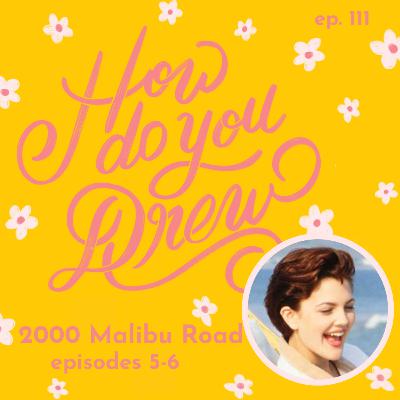 111 — 2000 Malibu Road, Episodes 5–6