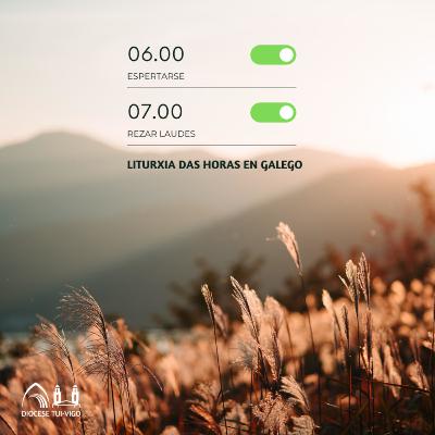Tempo Ordinario | Luns IV Salterio