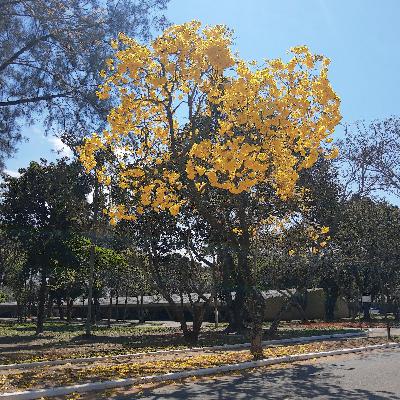 Convidei o espírito santo para o meu dia Convidei o espírito santo para o meu dia