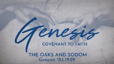 The Oaks and Sodom (Genesis 18:1-19:29) The Oaks and Sodom (Genesis 18:1-19:29)