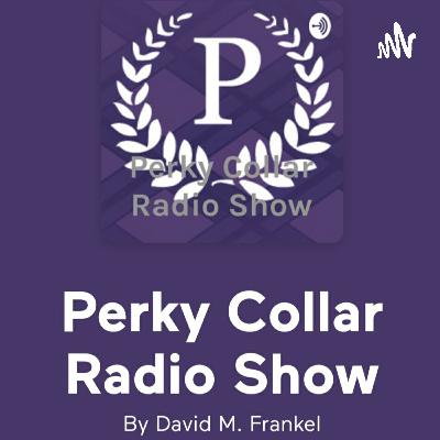 Interview with Don Booth, CEO of American Institute of Nondestructive Testing- Perky Collar Radio Show- Hosted by David M. Frankel