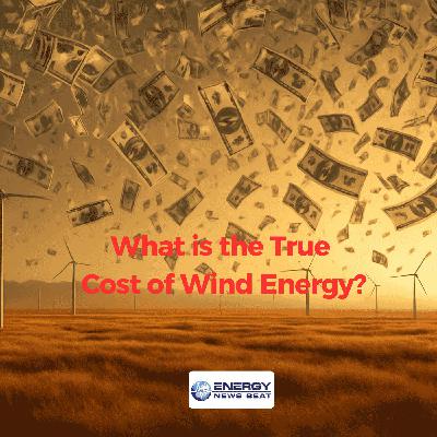 What is the Real Cost of Wind Energy? Energy News Beat Stand-Up What is the Real Cost of Wind Energy? Energy News Beat Stand-Up