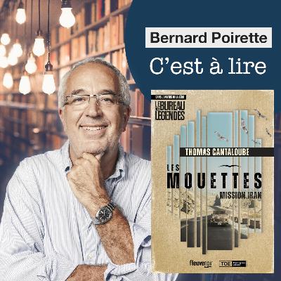 229. "Les Mouettes - Mission Iran" de Thomas Cantaloube