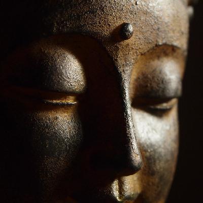 Knowing The Buddha by His Words Knowing The Buddha by His Words