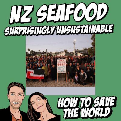NZ Seafood: Surprisingly Unsustainable