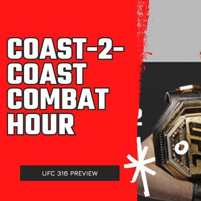 UFC 316 Preview