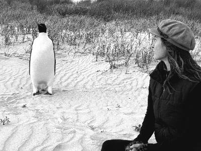 Marina Delamar's Healing Encounter with a Lost Emperor Penguin Marina Delamar's Healing Encounter with a Lost Emperor Penguin