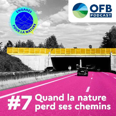 Quand la nature perd ses chemins