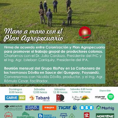 Acuerdo entre INC y Plan Agro para el desarrollo de los colonos. Conversamos con productor de Paysandú, GruposPlan y el técnico facilitador.