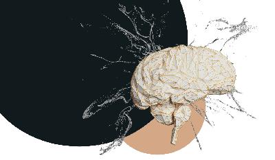 Does AI “Have To” Mimic the Human Brain? Does AI “Have To” Mimic the Human Brain?