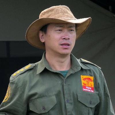 Simba’s tracking lions in Nashulai conservancy Simba’s tracking lions in Nashulai conservancy