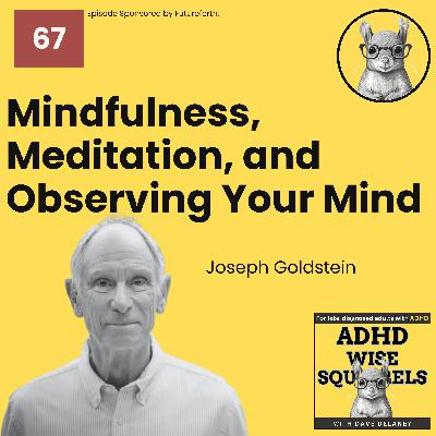 WS67 Mindfulness, Meditation, and Observing Your Mind with Joseph Goldstein.