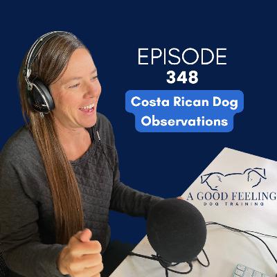 348. Costa Rican Dog Observations