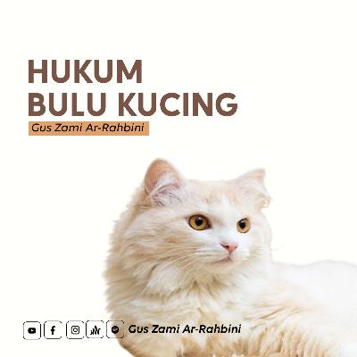 Hukum Bulu Kucing - Gus Zami Ar-Rahbini Hukum Bulu Kucing - Gus Zami Ar-Rahbini