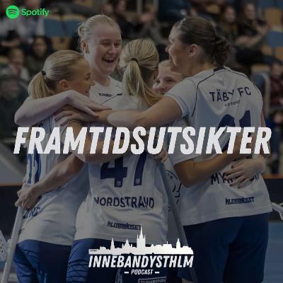 #133 Framtidsutsikter