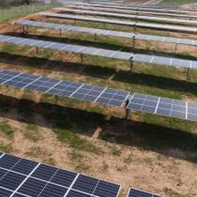 Plantas fotovoltaicas: ¿Independencia energética o un riesgo para los ecosistemas y la agricultura? Plantas fotovoltaicas: ¿Independencia energética o un riesgo para los ecosistemas y la agricultura?