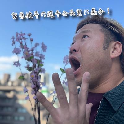 #113 「ゼンニチ開花宣言」