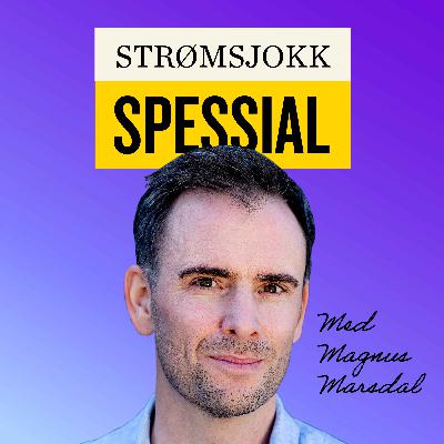 STRØMSJOKK SPESSIAL: HVEM HAR SKYLDA?