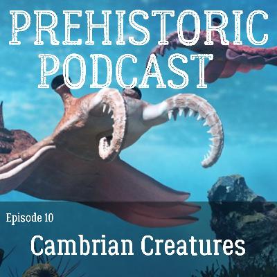 Ep 10 -Cambrian Explosion and Cambrian Creatures