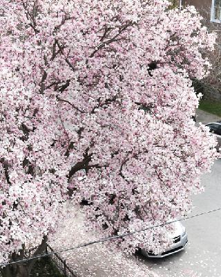 Episode 13- Pivot Episode 13- Pivot