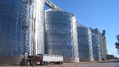 Farmers Face Grain Storage Conundrum