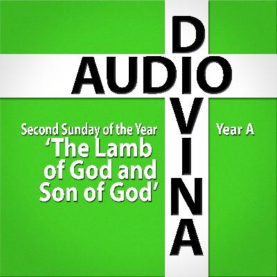 The Lamb of God and Son of God - 2nd Sunday of the Year, Year A The Lamb of God and Son of God - 2nd Sunday of the Year, Year A