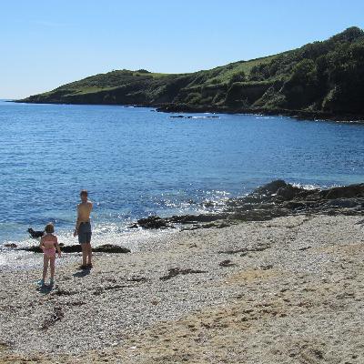 Children & dogs play on Bream Cove Children & dogs play on Bream Cove