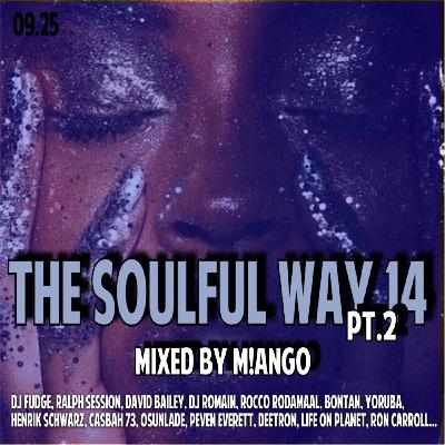 THE SOULFUL WAY 14 Pt2 THE SOULFUL WAY 14 Pt2