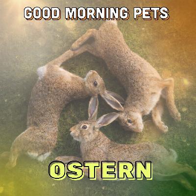GMP108 - Ostern mit Haustieren: Hasen, Hühner und Eier GMP108 - Ostern mit Haustieren: Hasen, Hühner und Eier