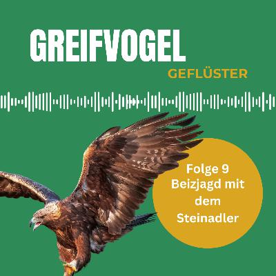 Beizjagd mit dem Steinadler - Interview mit Alexander Junker vom ODF