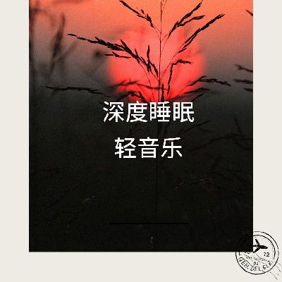 深度睡眠741HZ脑波音乐_2024/11/0707:27