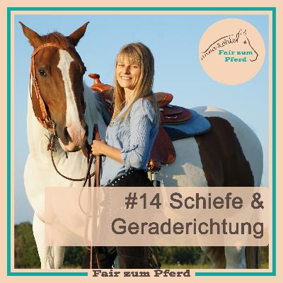 #14 Schiefe & Geraderichtung