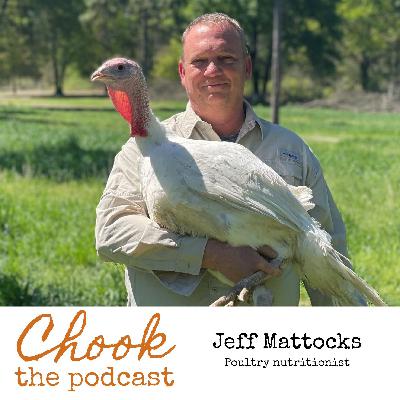 Jeff Mattocks, Bonus chat with the poultry nutritionist