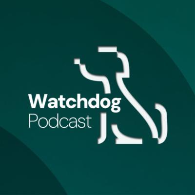 Watchdog | Mid-Year Update - ACCC 2025 So Far