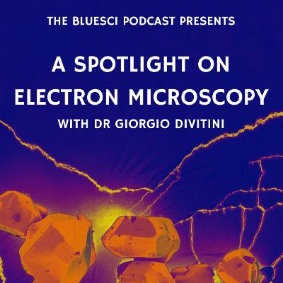 A spotlight on electron microscopy, featuring Dr Giorgio Divitini