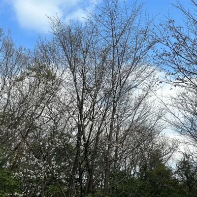１日も早く、嫌な仕事はやめてください。と、言いたい❣️