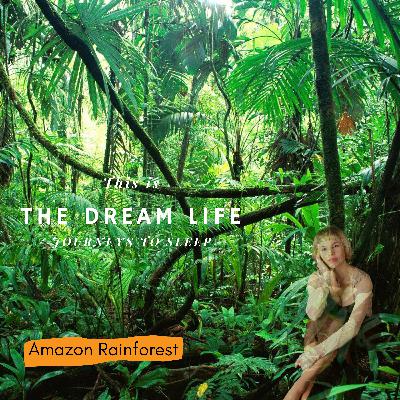 Amazon Rainforest Amazon Rainforest