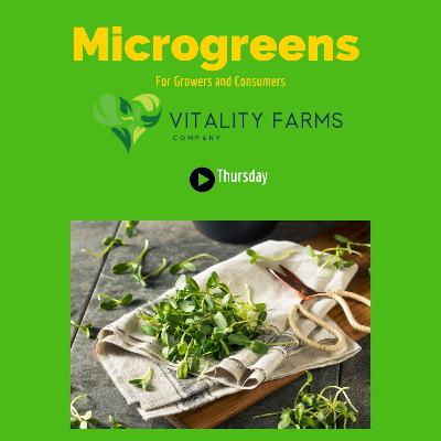 Organic vs Non Organic Microgreen Seeds