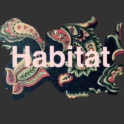 The Creativity Habitat with Brendon Lemon (Episode 1) The Creativity Habitat with Brendon Lemon (Episode 1)